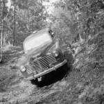 Renault Colorale