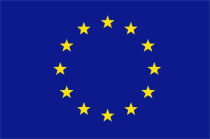 Wspólne dane rejestracyjne w UE